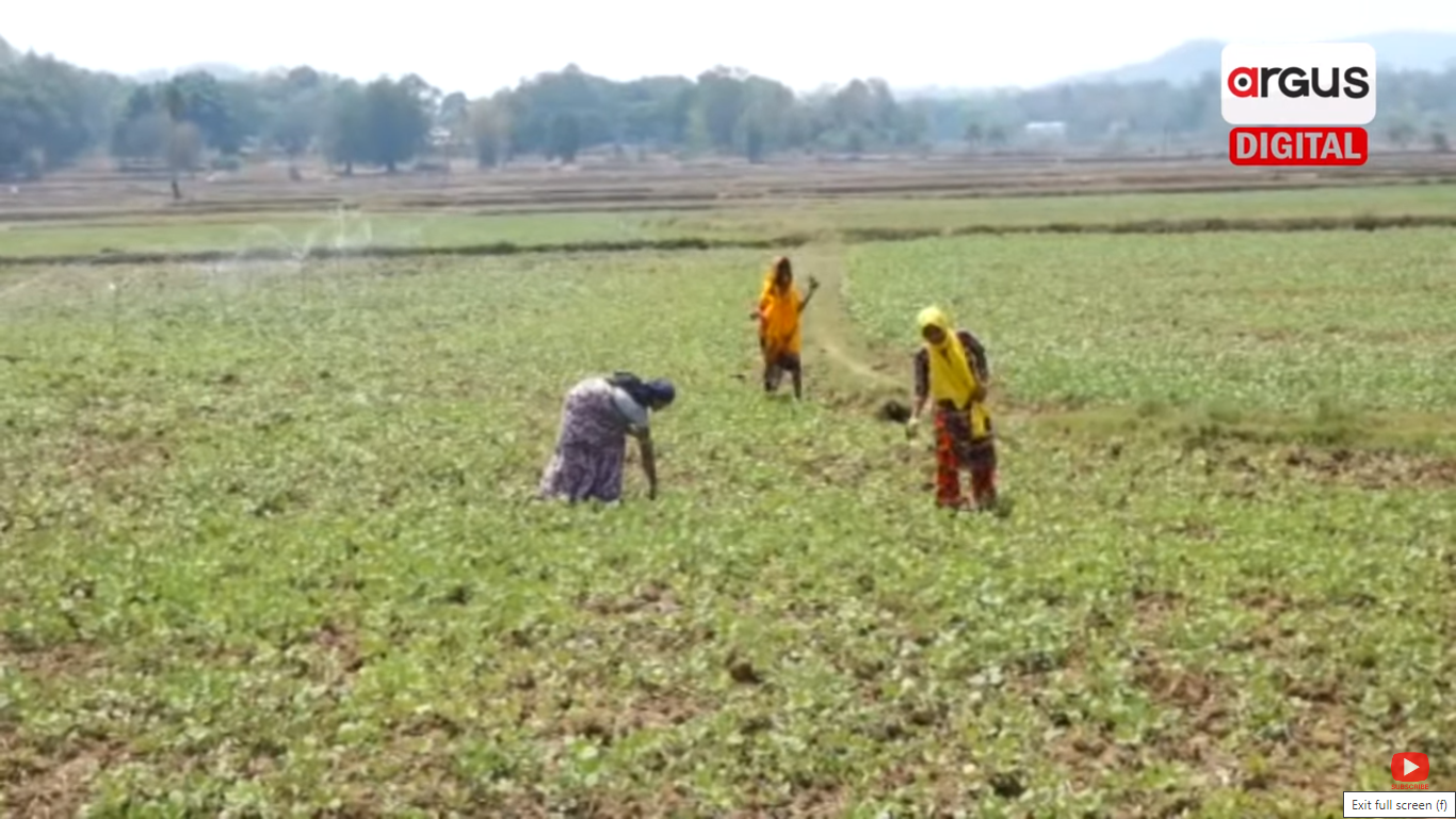 Empowering Women: Farming Emerges 