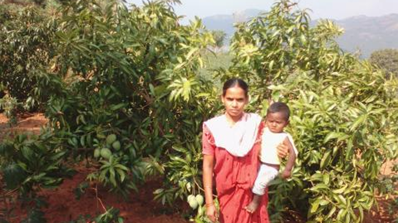 Story 1: Corona Tragic – Ten Kandha families leading a miserable life