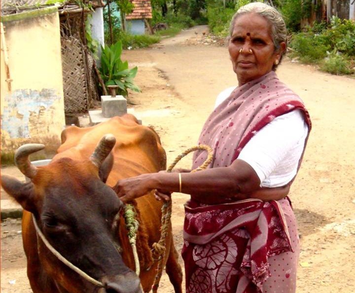 Enhancing Livelihoods of Rural Women