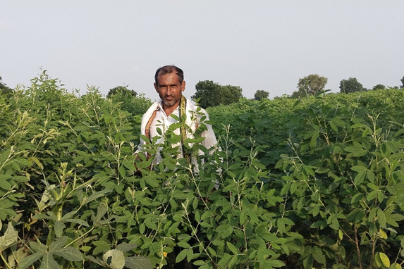 Enhancing Cotton Cultivation through Sustainable Practices: A Visit to Rajendra Patil’s Farm