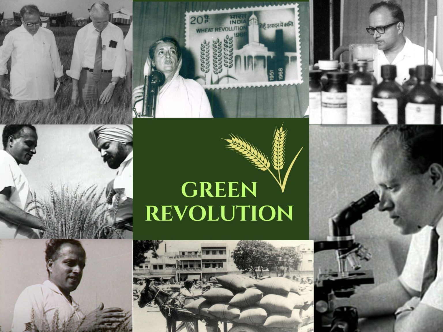 Principal Architect of the Green Revolution