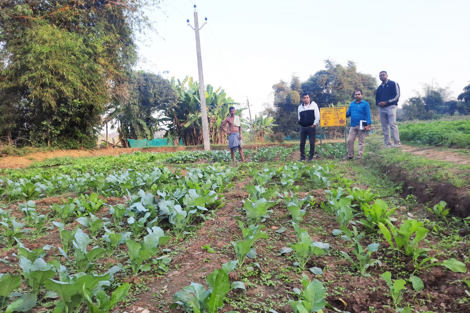 Nodal Officer of NGDD Project visit MSSRF field sites