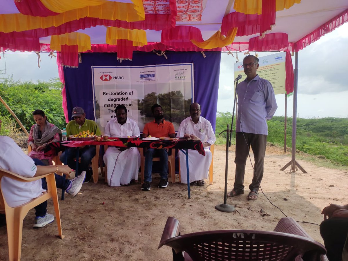 Mangrove Restoration project inaugurated in Muthupet, Tamil Nadu