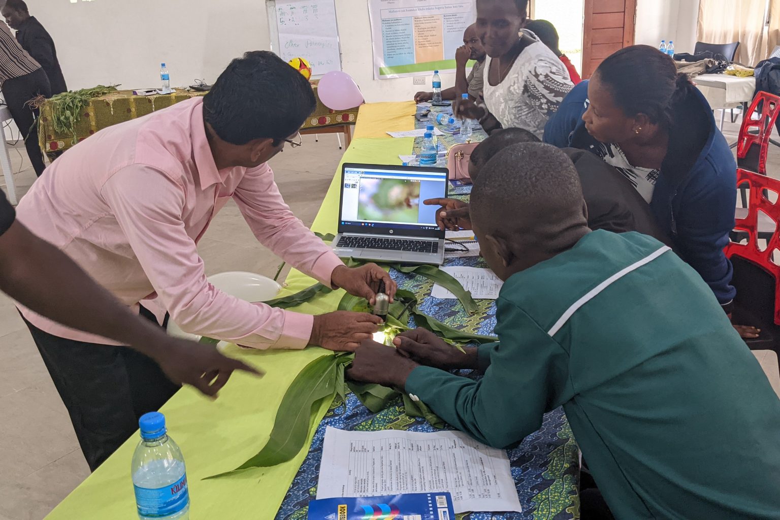 Promoting the System of Rice Intensification method among Tanzania scientists