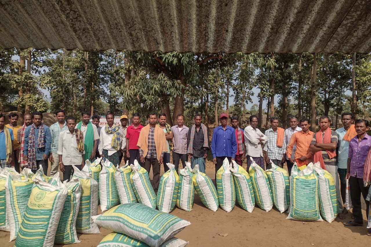 151 farmers benefit from groundnut foundation seed support