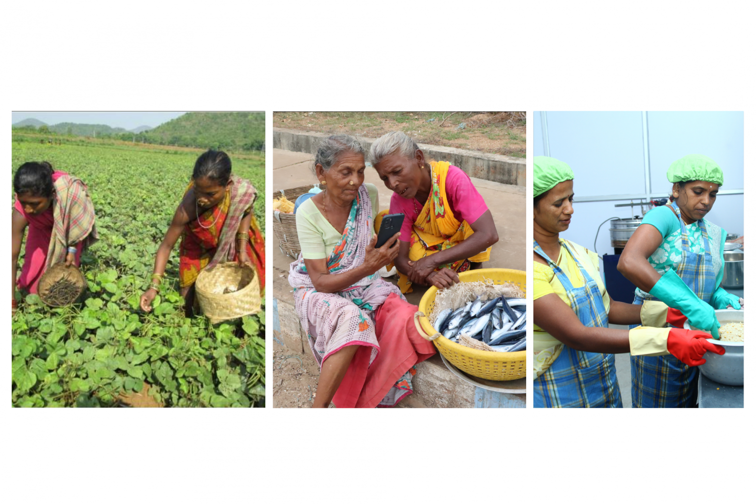Bad Statistics Underestimate Rural Women’s Contributions to Agriculture