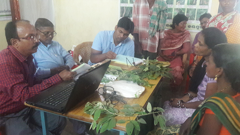 Save crops with ‘Plant Clinics’ – Now Open in Odisha