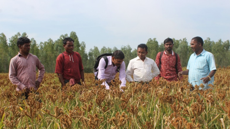For improved seeds through participatory seed system delivery