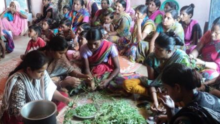 The project LANSA results in multiple level uptake