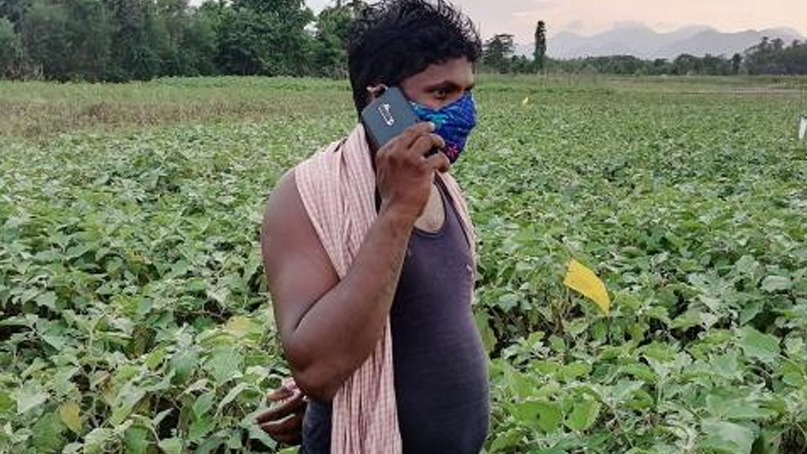 Demand-based agriculture extension services getting popular among farmers
