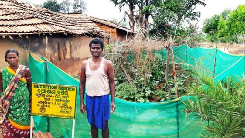 Koraput: Backyard Nutrition Garden is the way forward to counter malnutrition