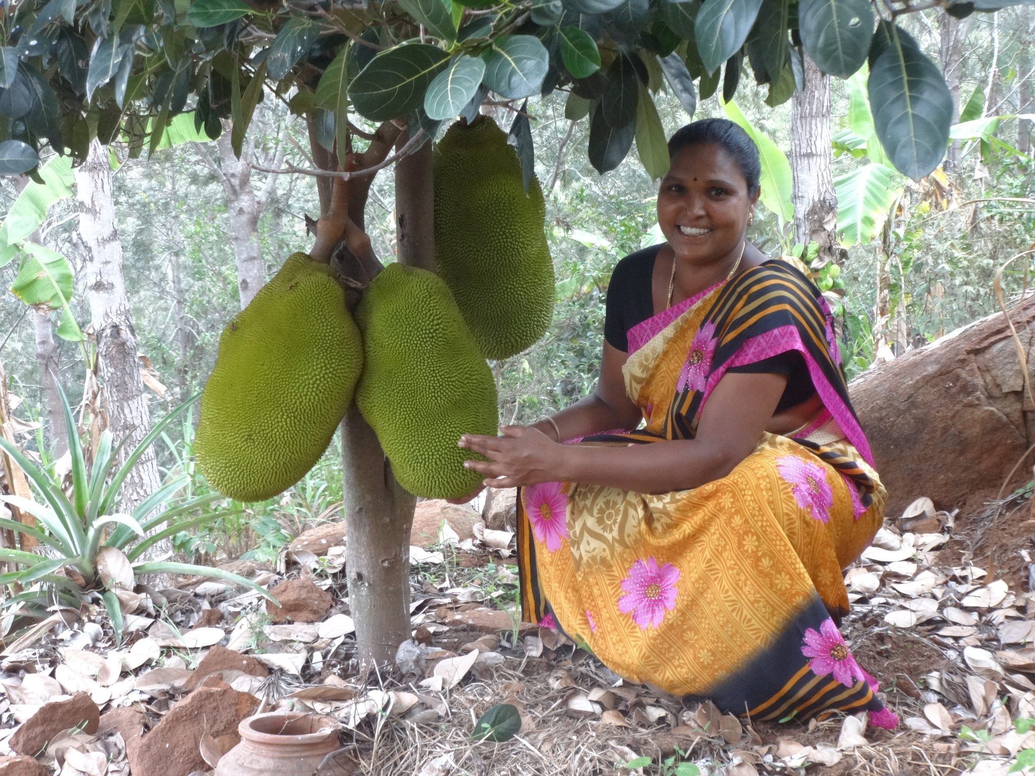 Improving the lives of Malayali tribes in Eastern Ghats