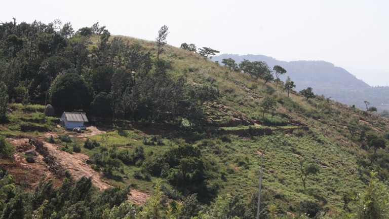 Kolli Hills, 70 hairpin bends and a wealth of wisdom