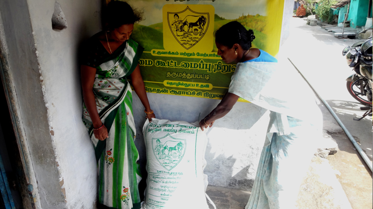 Collective feed procurement by women dairy farmers reaps rewards