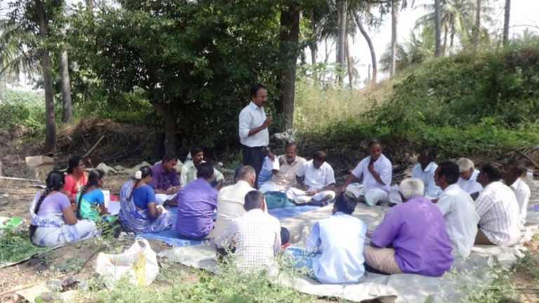 ‘Plant Clinics’ to Bridge the Extension Gap in Plant Health Management