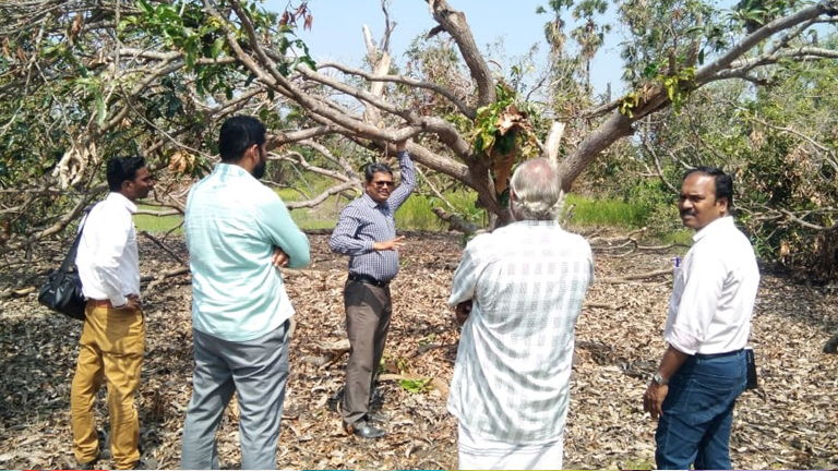 Agronomic rehabilitation measures of ‘Gaja’ affected regions in Nagapattinam and Thanjavur Districts