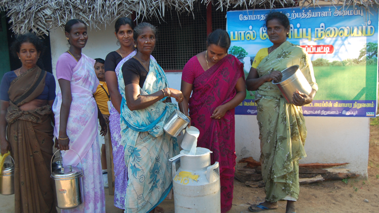Support empowerment of women through Dairy Farming