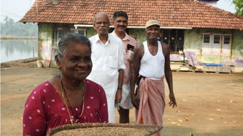 MSSRF rejuvenating the lost Pokkali Rice in Kerala