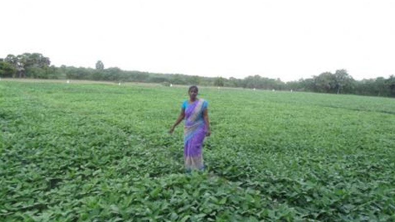 Mailam block: MSSRF’s intervention transformed water-scarce to water abundant