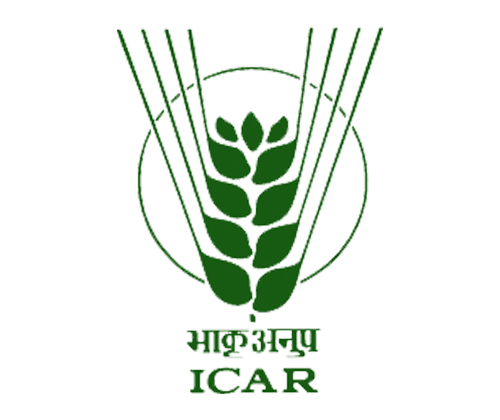 ICAR
