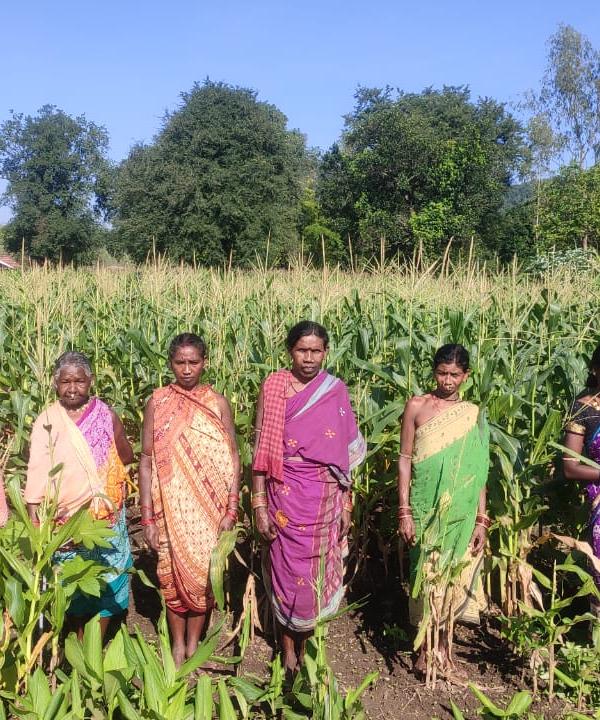 Self-sufficiency in Women through Vegetable Cultivation