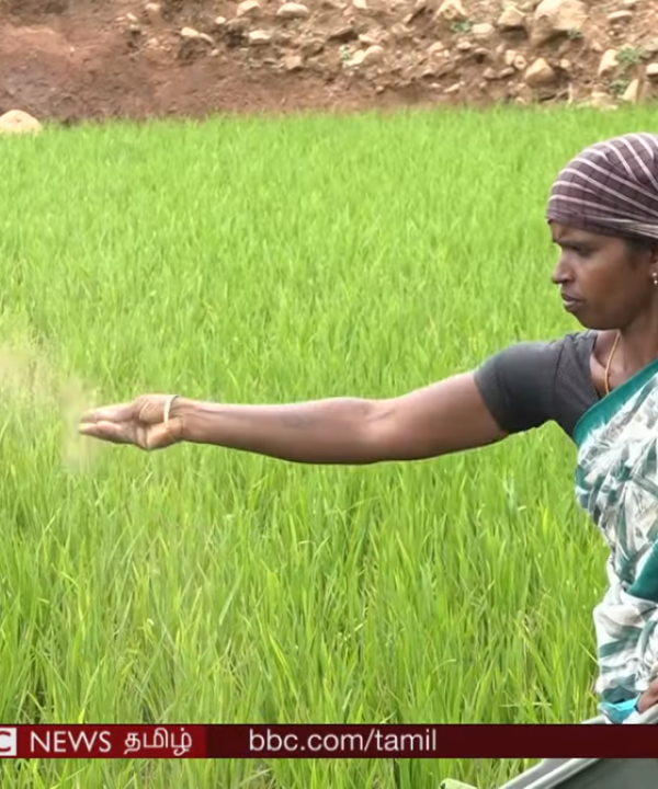 A migrant farmer