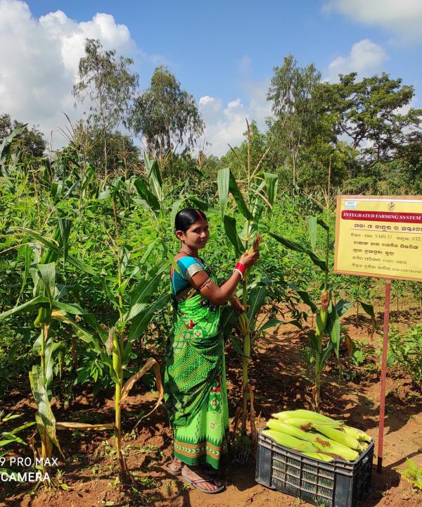 Socio-economic improvement is now achievable for Odisha
