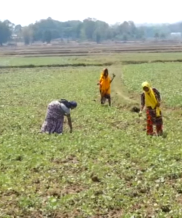 Empowering Women: Farming Emerges 