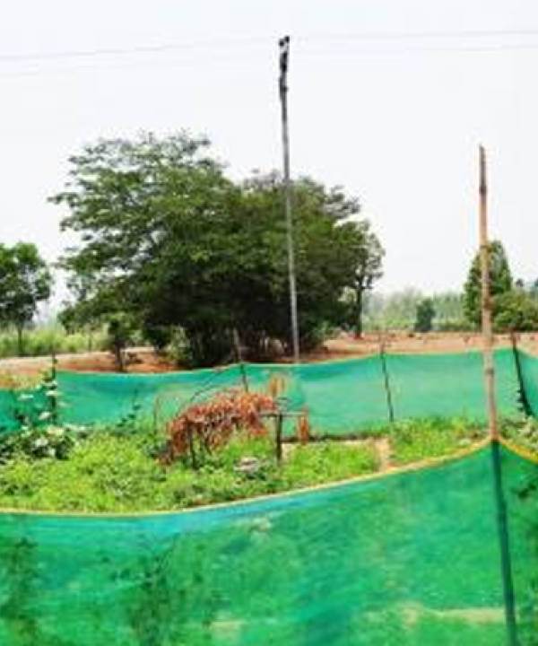 Story 3: Nutrition Garden – Practical pathway for address malnutrition
