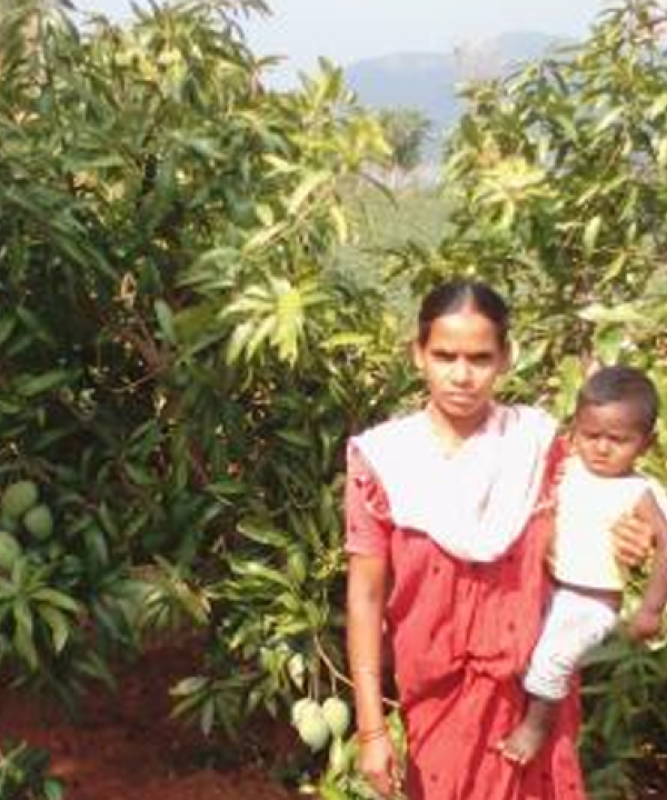 Story 1: Corona Tragic – Ten Kandha families leading a miserable life