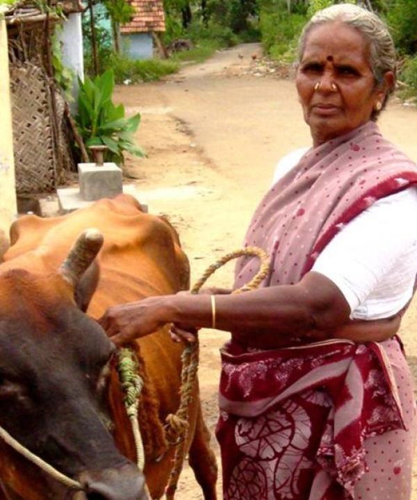 Enhancing Livelihoods of Rural Women