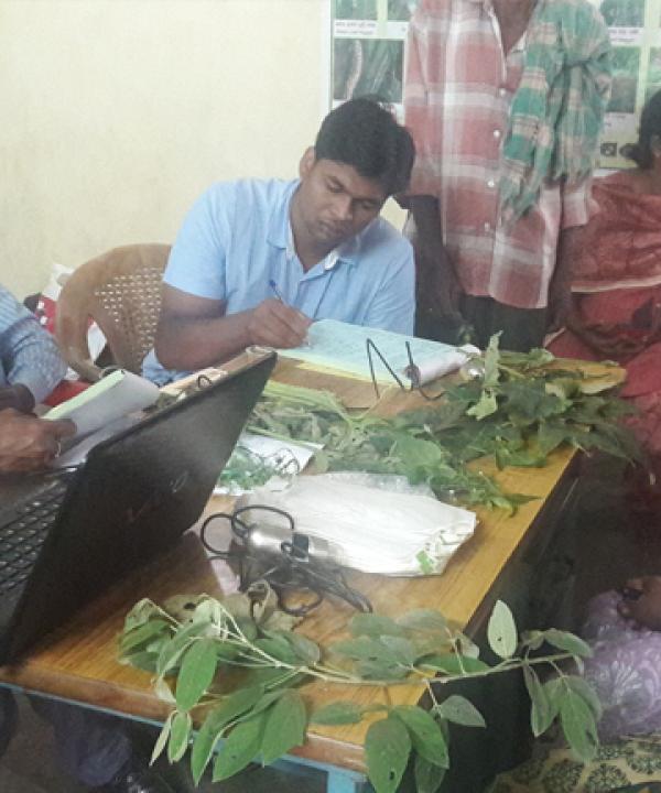 Save crops with ‘Plant Clinics’ – Now Open in Odisha