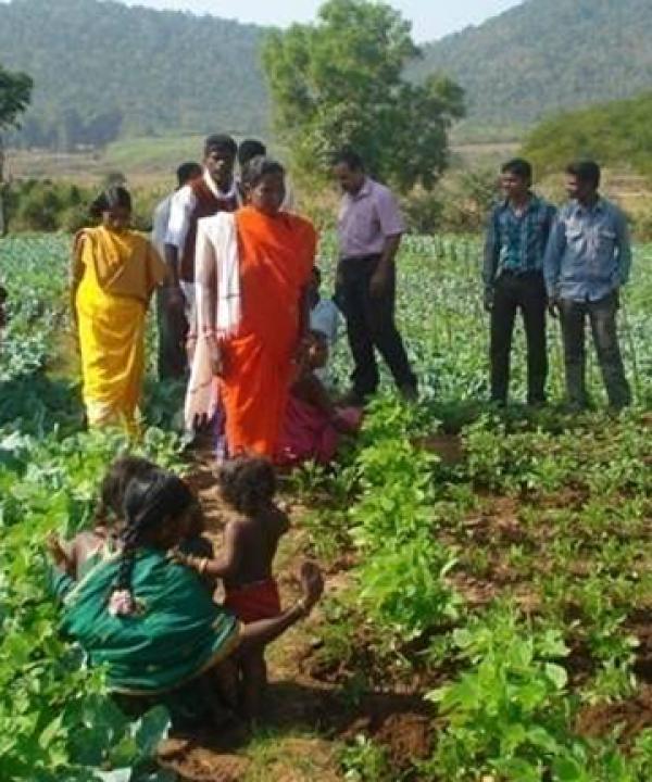 Inception of New Projects in Koraput District of Odisha under the auspices of MSSRF Regional Centre, Jeypore