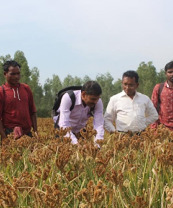 For improved seeds through participatory seed system delivery