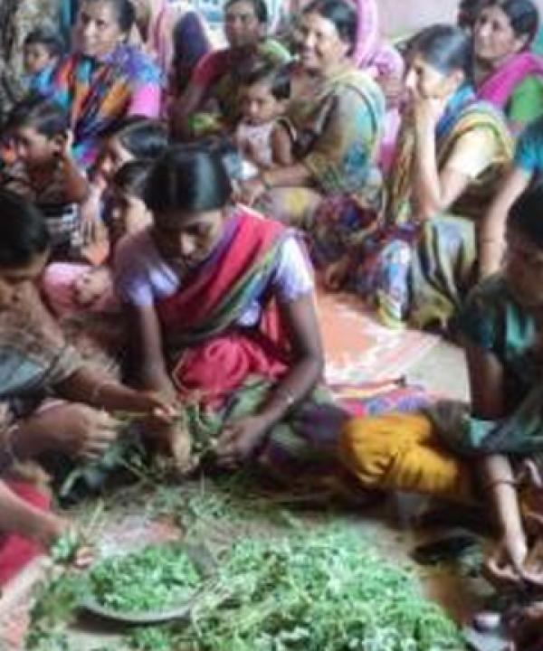 The project LANSA results in multiple level uptake