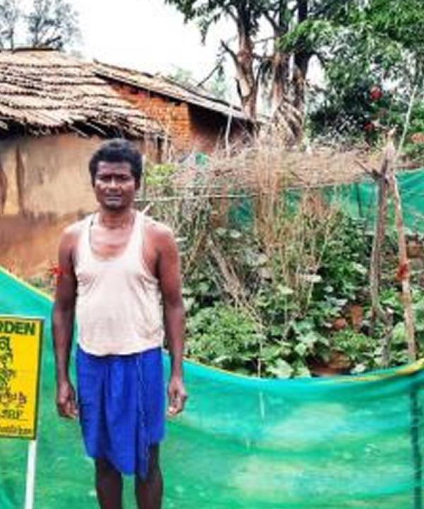 Koraput: Backyard Nutrition Garden is the way forward to counter malnutrition
