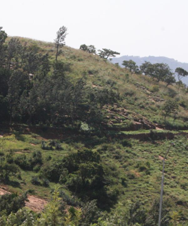 Kolli Hills, 70 hairpin bends and a wealth of wisdom