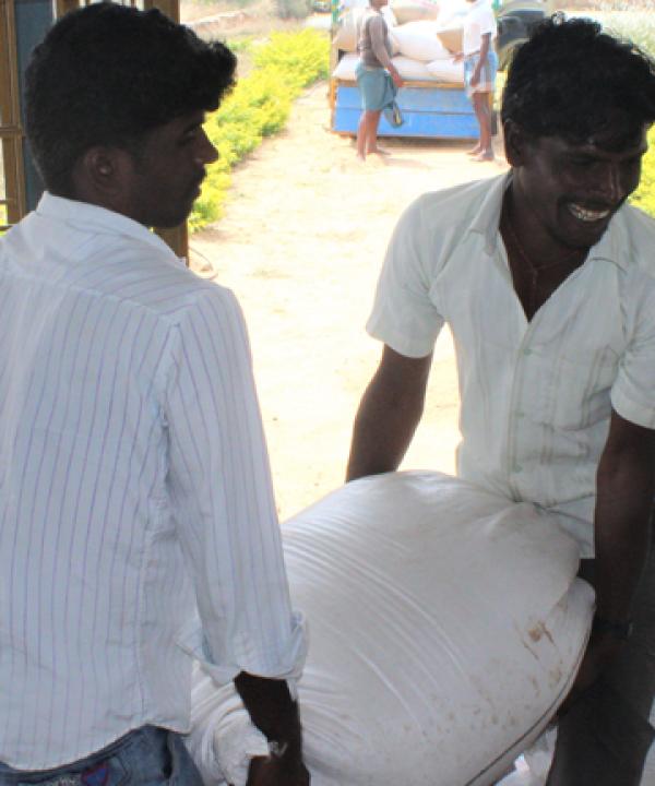 Small Farmers help themselves in Pudukkottai