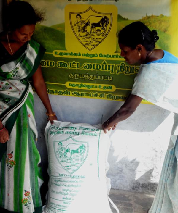 Collective feed procurement by women dairy farmers reaps rewards