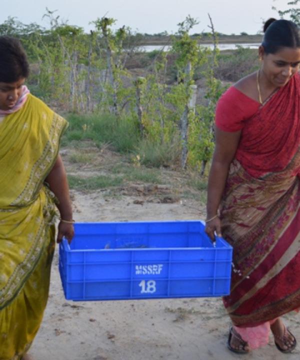 Empowering coastal rural women through fish culture