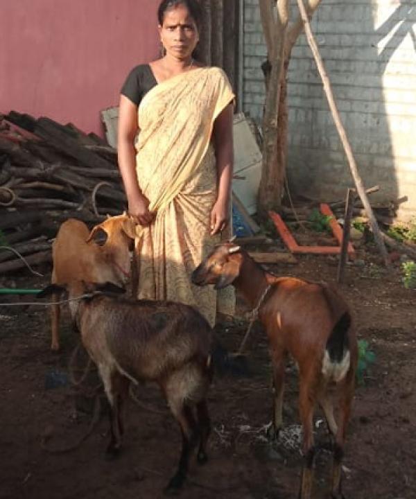 How collectives are improving the livelihoods and well-being of single women: learning from Puducherry