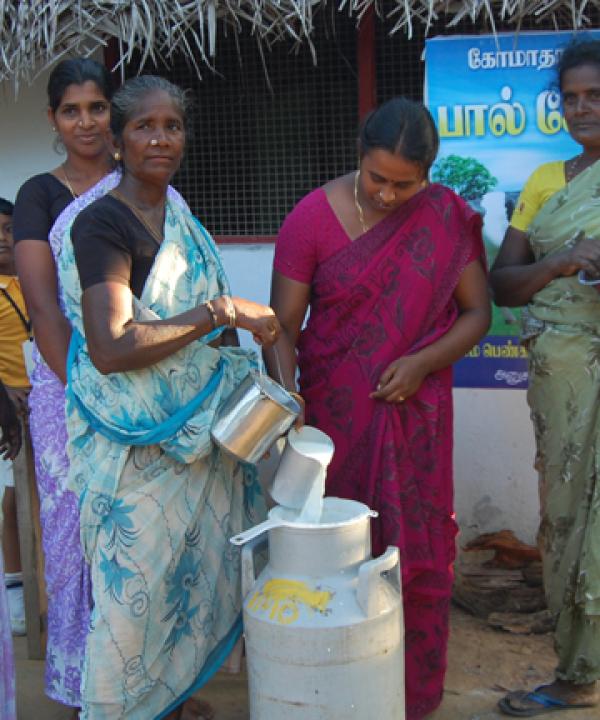 Support empowerment of women through Dairy Farming