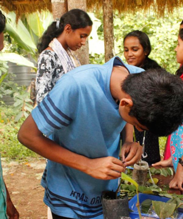 Nurturing love for nature among students