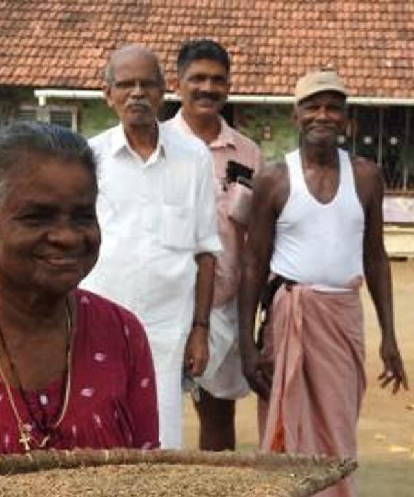 MSSRF rejuvenating the lost Pokkali Rice in Kerala