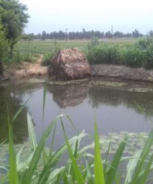 Integrated Fishing Farming System gaining momentum in coastal regions of Tamil Nadu