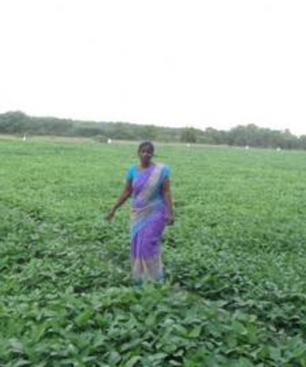 Mailam block: MSSRF’s intervention transformed water-scarce to water abundant