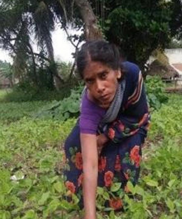 Post Covid-19 – Agriculture work and women