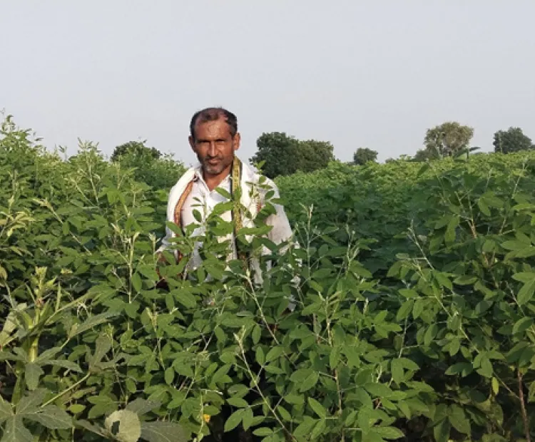  Rajendra Patil in Shirdane village