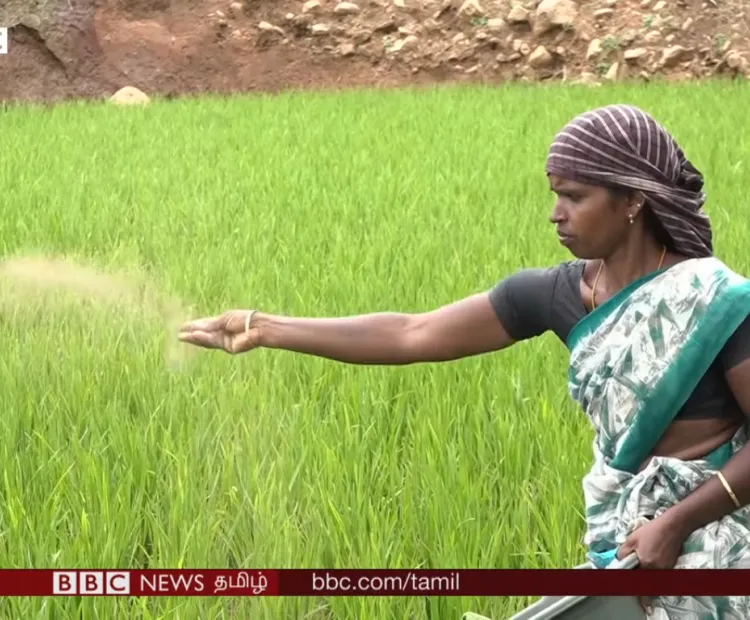 A migrant farmer
