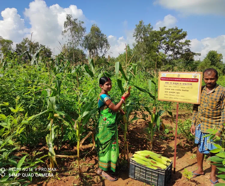 Socio-economic improvement is now achievable for Odisha